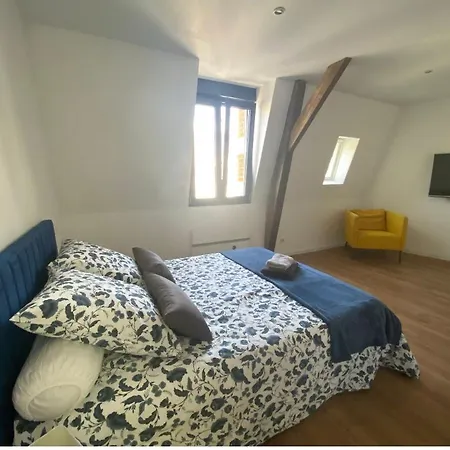 Millesime Magnifique Appart Centre Apartment *